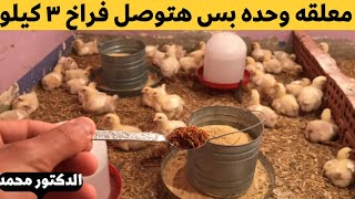 عمر٩ / معلقه شطه لزياده وزن الفراخ 4 كيلو عمر شهر مع دكتور