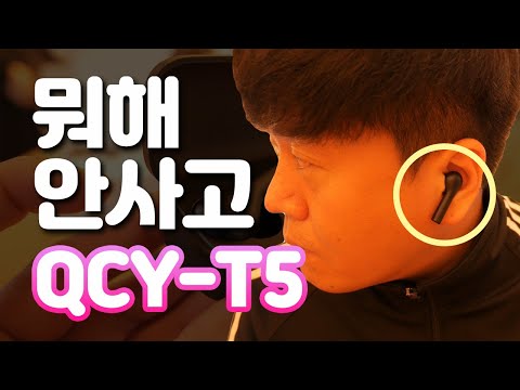 현존 가성비 끝판왕 블루투스 TWS 이어폰 QCY-T5 리뷰 (Bluetooth tws earphones QCY-T5 review)