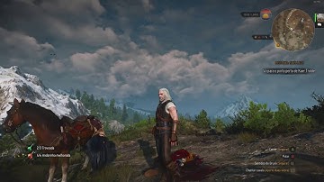 The Witcher 3 Wild Hunt 60FPS 980Ti FX 8320 4.2Ghz OC Maxed Out