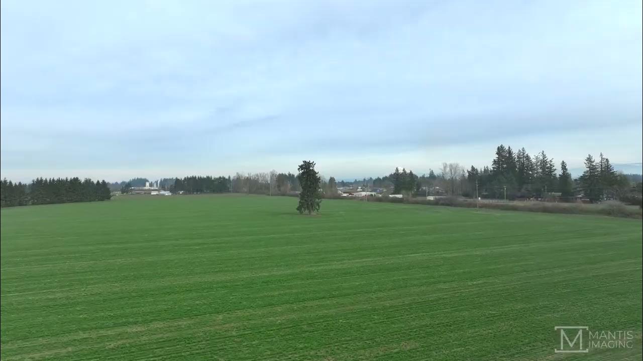 Hubbard Oregon Lovely Small Town Nestled in Grass Seed Farm Country