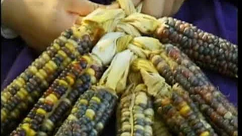 Making the 13 Colonies:  The New England Colonies