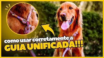 Como utilizar a guia unificada?