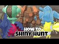 How to Shiny Hunt The Regis in Pokemon Crown Tundra