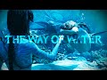 The Beauty Of Avatar - The Way Of Water