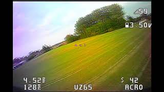 UZ65 in field accro