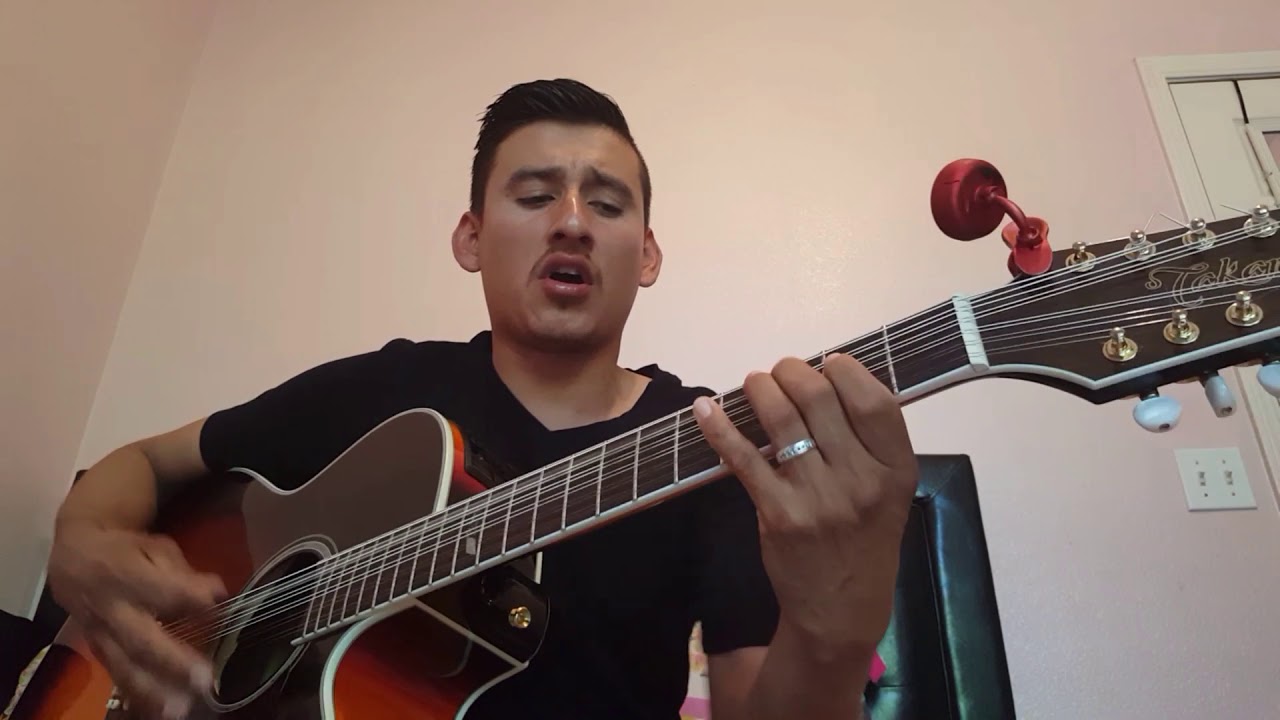 Una Pagina Mas - Los Cadetes De Linares (cover) Damian Requinto