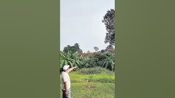 Chú ốn cần bán mảnh vườn sầu riêng View suối tại brvt #bánvườn #automobile