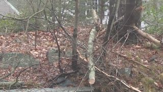 Versant, CMP crews working through the holiday weekend to restore power Profile