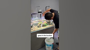 Siphon Gravel Cleaner for your aquarium
