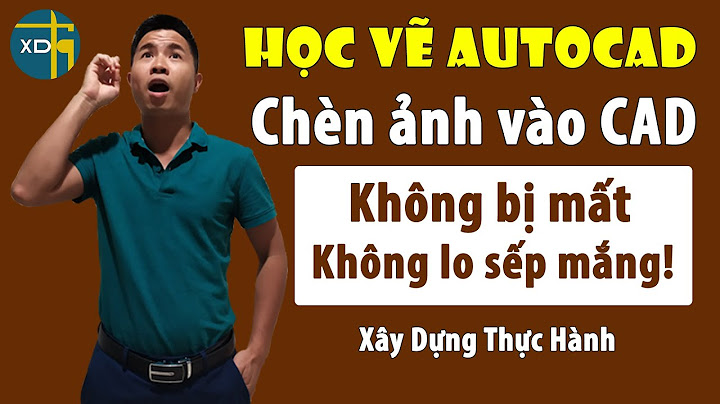 Hướng dẫn copy hình ảnh paint vào cad