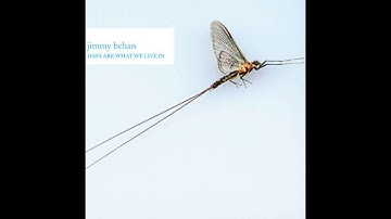 Jimmy Behan - Dandelions