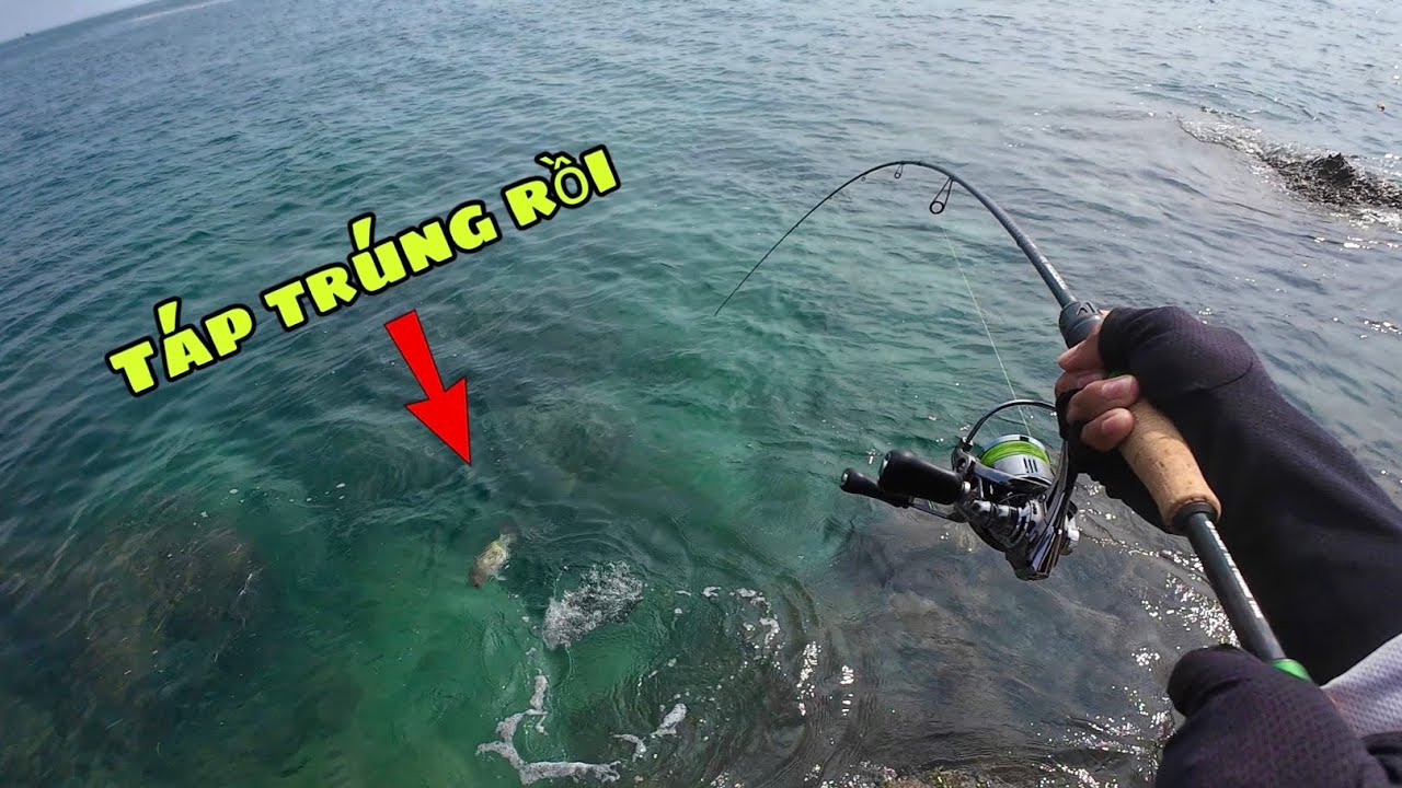 Lure biển dính toàn cá Mú bông bằng con mồi 5g siêu nhạy