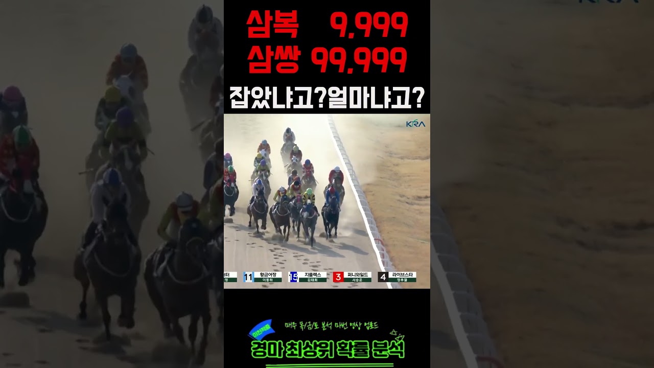 🔥How [삼복 9999 | 삼쌍 99999] 잡았냐고? 얼마냐고? 묻지마! | 🎯노빠꾸의 황금마번 쫌 믿어라! | 260329 (일) 부산6경주 | #경마적중 #고배당 #쇼츠