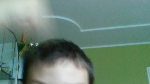 Pvz Heroes I Crash Rallye