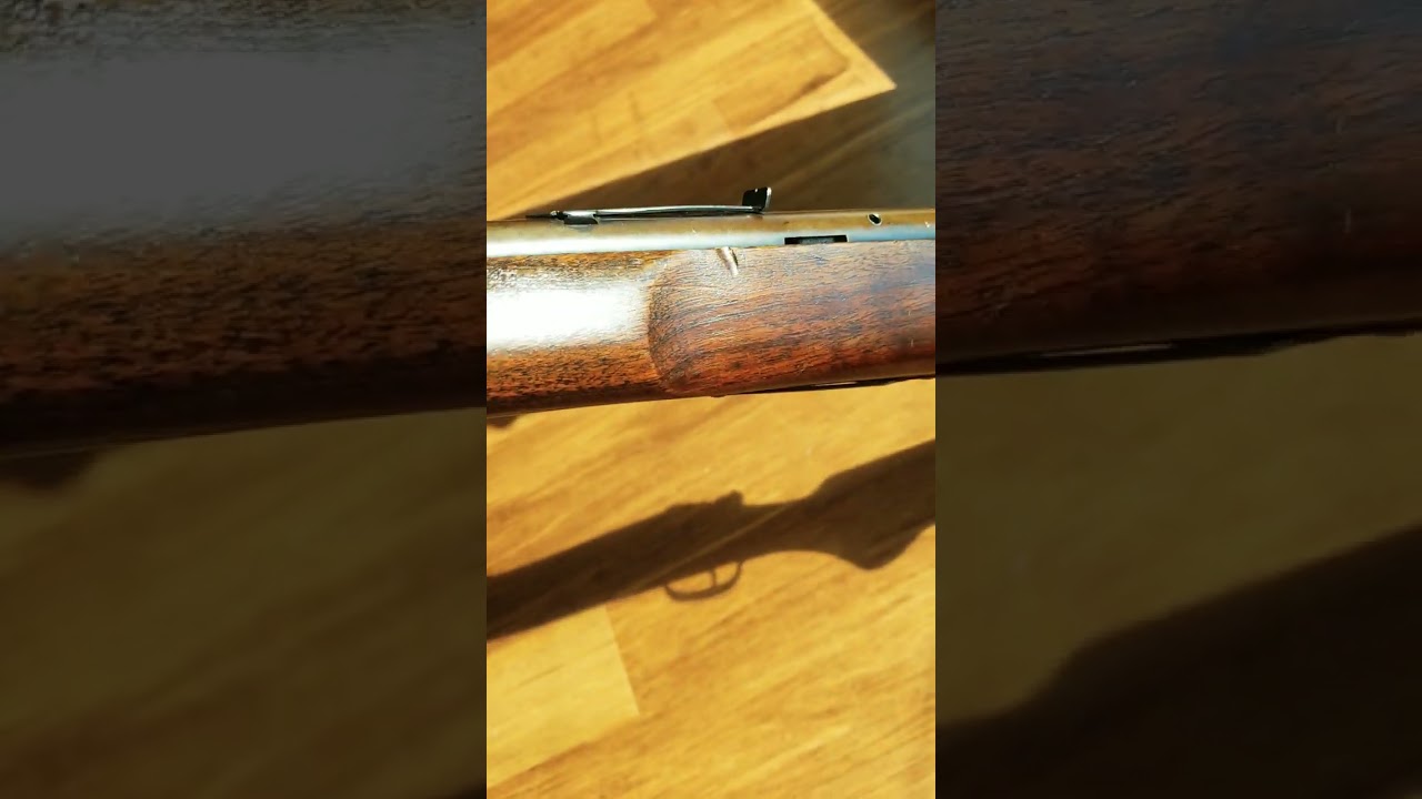 Savage Abuse and Neglect😥Is She a Lost Cause?