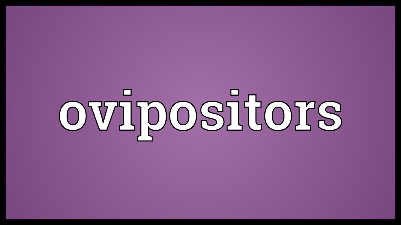 Ovipositors Meaning
