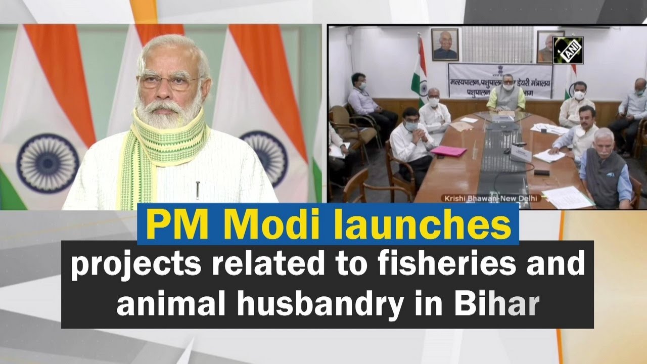 PM Modi launches projects related to fisheries and animal husbandry in Bihar  - YouTube