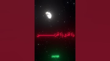 سورة القصص للشيخ ياسر الدوسري