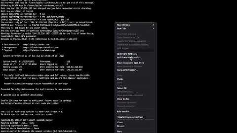 Guide to SSH login to E2E Cloud