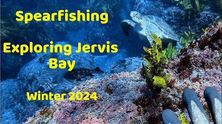 Spearfishing- Exploring Jervis Bay Offshore Winter 2024