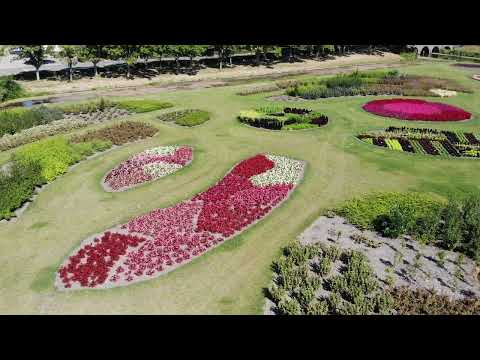 DJI vlucht over De Garden met toestemming van het museum Sow to Grow in Enkhuizen op 3-9-2022