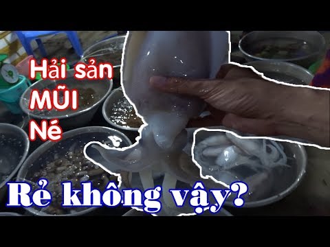 Kinh Nghiệm Du Lịch Mũi Né Phan Thiết Tự Túc (Tập 8): Đại phá Làng chài Mũi Né mua mồi nhậu