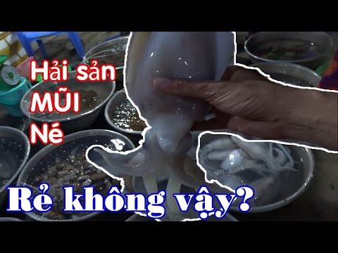 #1 Kinh Nghiệm Du Lịch Mũi Né Phan Thiết Tự Túc (Tập 8): Làng chài Mũi Né cân thiếu kinh hoàng Mới Nhất