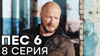 Сериал ПЕС 6 - 6 сезон - 8 серия - ВСЕ СЕРИИ смотреть онлайн | СЕРИАЛЫ ICTV