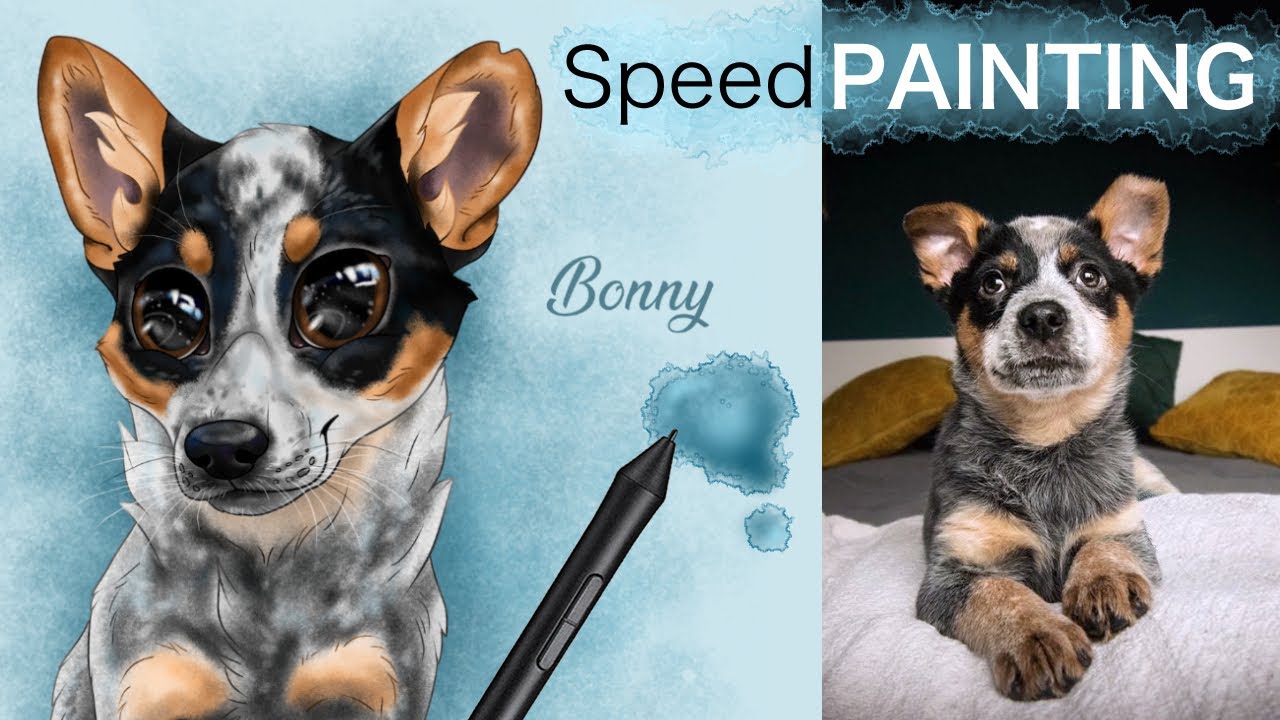 Digital Speedpainting - CHIBI Pet Portrait of Bonny the cute puppy dog (time lapse) | by PetzArt