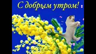 #Доброеутро #Чудесногодня  Доброе  утро !!! Чудесного  дня !!! Начинаем утро с улыбки !!!