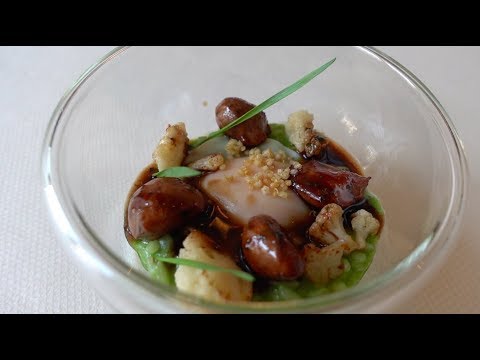 【维也纳·Restaurant EDVARD】米芝莲一星 Michelin Restaurant // 奥地利 Vienna Austria 2019.03.09