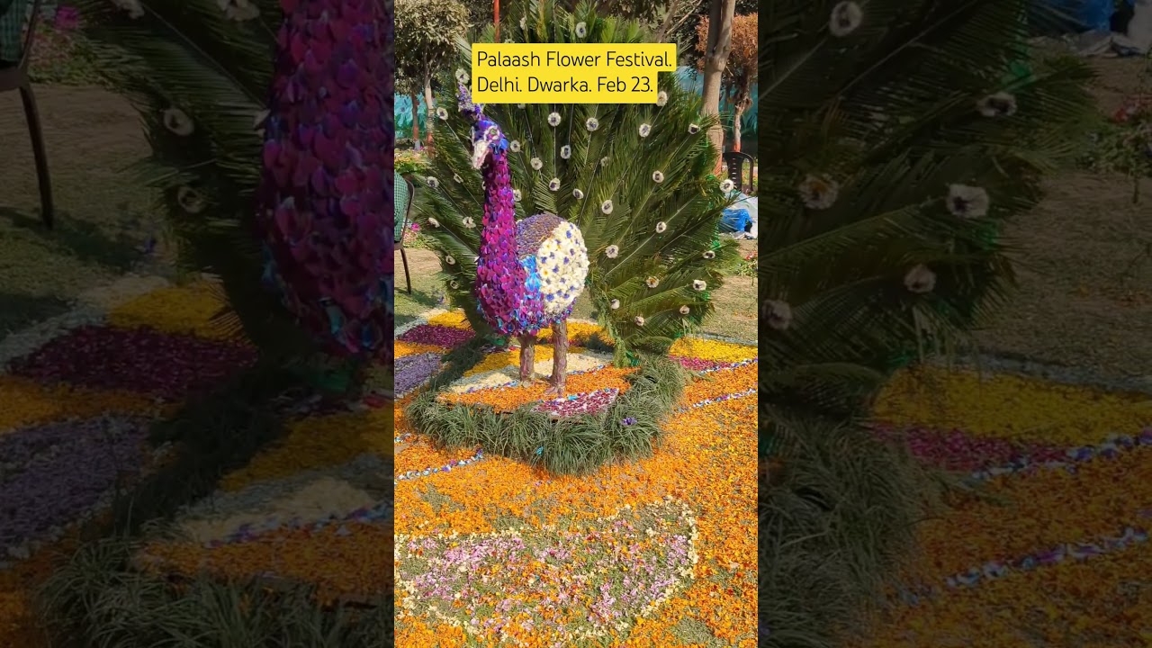 Flower festival in Dwarka 