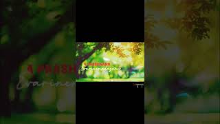 #drop your subscribe for more videos #explore page #trending Telugu songs #raju. the. lyricist.