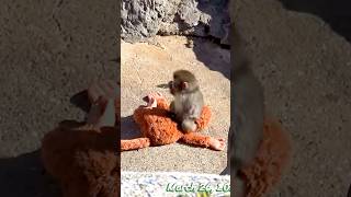 Punch - March 26, 2026