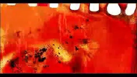 My ELP (European Language Portfolio),  Video Tutorial 3