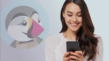 Connect PrestaShop to BridgerPay | BridgerGuides