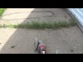How to seal concrete cracks and clean out the weeds.
