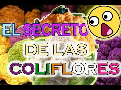 Video: Coliflor: Agrega Colores Brillantes A Las Camas