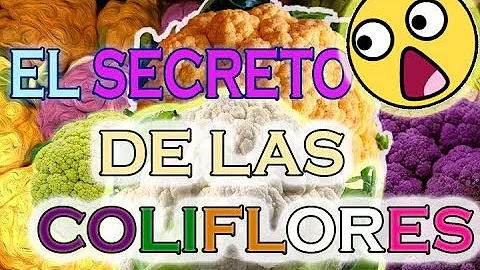 ¿La coliflor es de color verde oscuro?