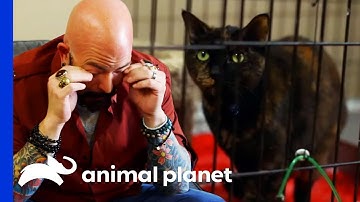 Jackson Gets Emotional At Cat