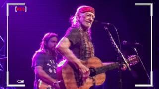 still not dead willie nelson