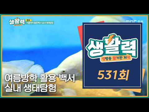 [생활력] 531회 다시보기ㅣMBC충북ㅣ260812