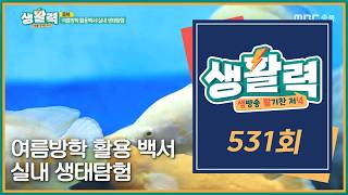 [Vitality] Episode 531 Replay | MBC Chungbuk | 08/12/26