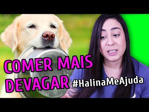 Vídeo: Como Fazer Seu Cachorro Comer Mais Devagar