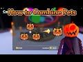 How to combine pets in Ghost at the Door Roblox