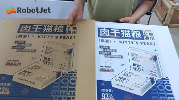 Epson A3+Head  Single Pass Digital Printer | Brown & White Corrugated Cardboard CMYK Printing