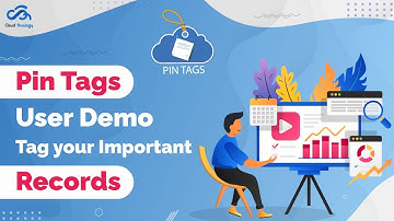 Pin Tags User Demo | Tag your important records