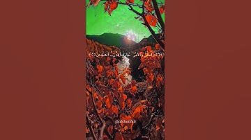سورة الأعراف القارئ #ماهر_المعيقلي #فلسطين#السعودية#الجزائر#المغرب#مصر#تونس#ليبيا#موريتانيا#اكسبلور