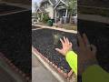 Weed Removal and Mulch Refresh!🔥🤙 #colorado #lawncare #smallbusiness #landscaping #localbusiness
