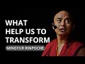 What Helps Us to Transform - teaching by Mingyur Rinpoche